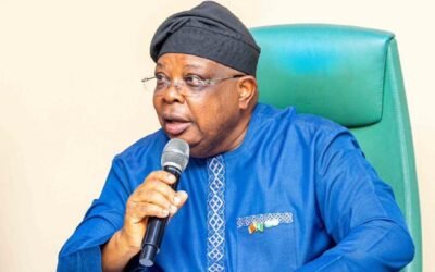 Nigerians are now complaining over constant electricity - Power minister