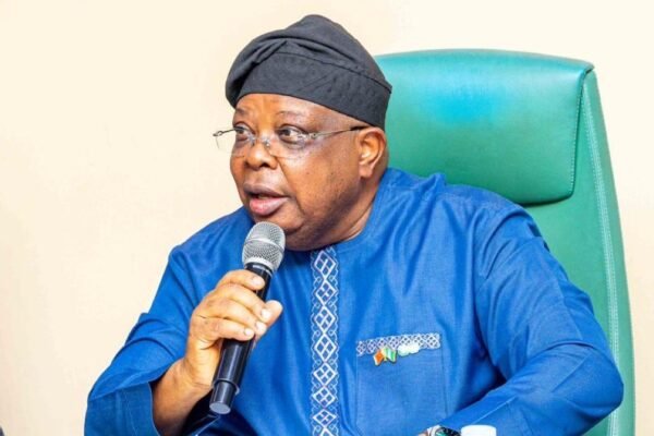 Nigerians are now complaining over constant electricity - Power minister