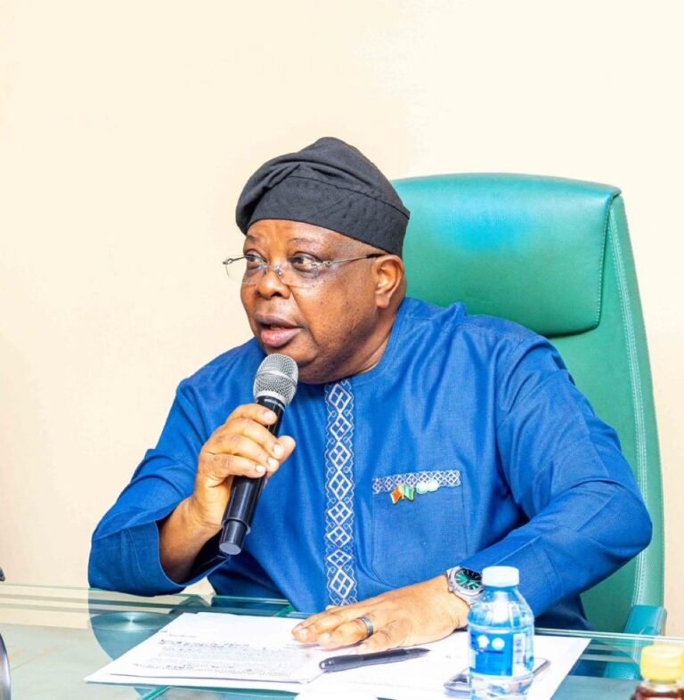 Nigerians are now complaining over constant electricity – Power minister
