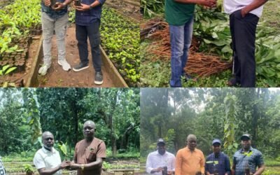 Cross River Begins Distribution of 25,000 Fruit Tree to Boost Reforestation, Rural Economy