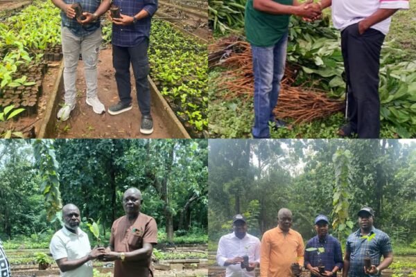Cross River Begins Distribution of 25,000 Fruit Tree to Boost Reforestation, Rural Economy