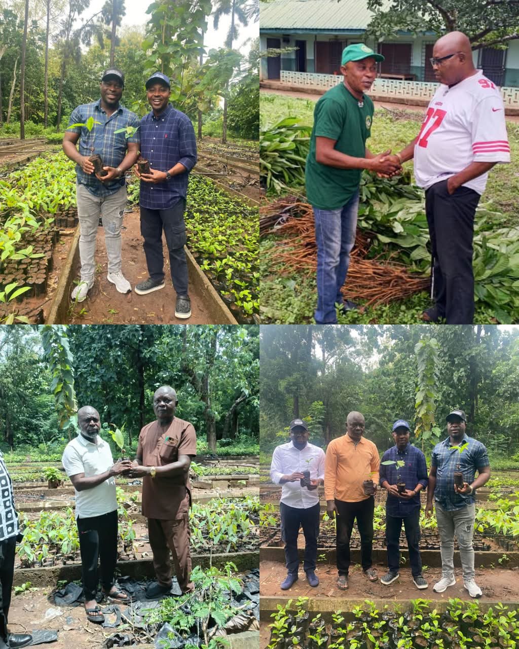 Cross River Begins Distribution of 25,000 Fruit Tree to Boost Reforestation, Rural Economy