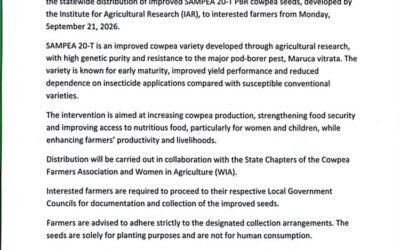 Cross River Commences Statewide Distribution of Improved Cowpea Seeds