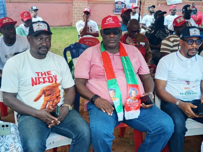 2027: Ngige community promises APC Reps candidate, Ezekwelu 100 percent votes
