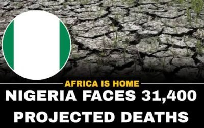Extreme heat projected to cause 31,400 deaths in Nigeria in next 6 months
