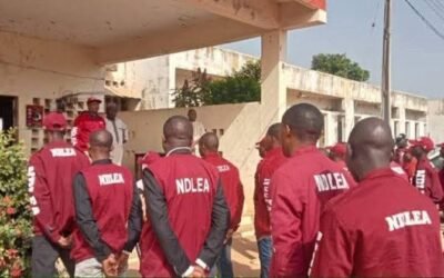 NDLEA Officials Cause Chaos in Cross River, Brutalize Journalist