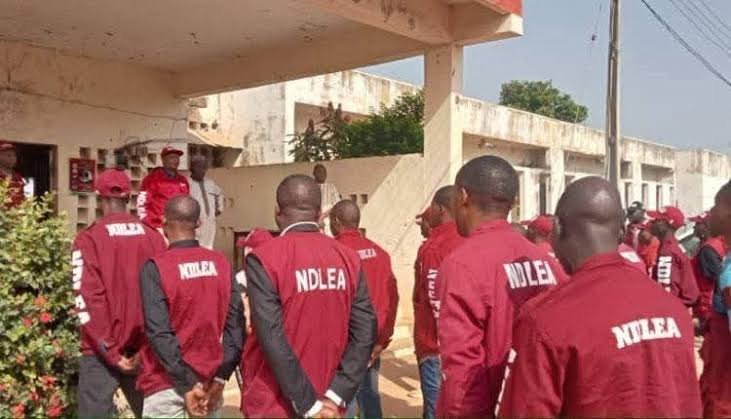 NDLEA Officials Cause Chaos in Cross River, Brutalize Journalist