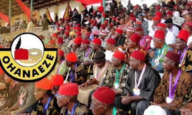 At 66: Nigeria still in nursery school – Ohanaeze tells Tinubu